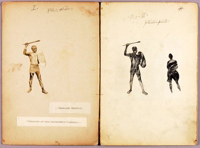 Tattooing--Single Warrior, studiemapp till boken Concealing Coloration in the Animal Kingdom av Abbott Handerson Thayer