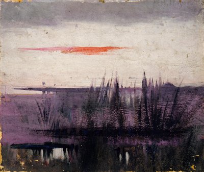 The Sky Simulated by White Flamingoes studie för bok, Dold färgsättning i djurriket av Abbott Handerson Thayer