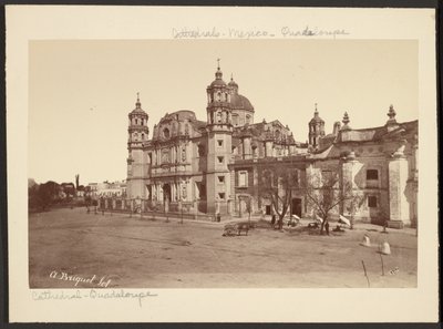 [Katedralen i Guadalupe] av Abel Briquet