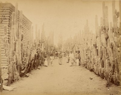 Mexiko. Gata i byn San Juan, delstaten Mexiko. av Abel Briquet
