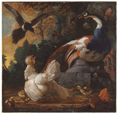 En påfågel, fjäderfä och en skata i ett landskap, 1720 av Abraham Bisschop