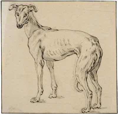 Vinthund av Abraham Bloemaert
