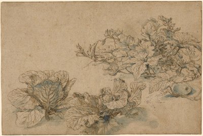 Studier av en märgväxt och kål av Abraham Bloemaert