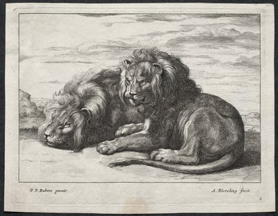 Olika Lions av Abraham Blooteling