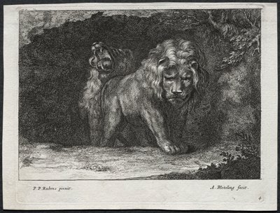 Olika Lions av Abraham Blooteling