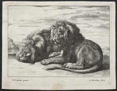 Olika Lions. av Abraham Blooteling