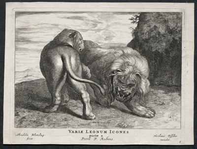 Olika Lions. av Abraham Blooteling
