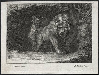 Olika Lions. av Abraham Blooteling