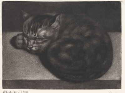 Sovande katt av Abraham Bloteling