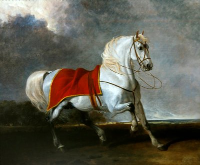 Sadlad grå laddare skrämd av en storm, kallad "Millenium" av Abraham Cooper
