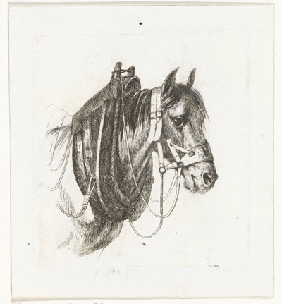 Hästhuvud med träns, sele och sadel av Abraham Hendrik Winter