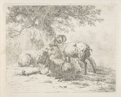 Får och en get av Abraham Hendrik Winter