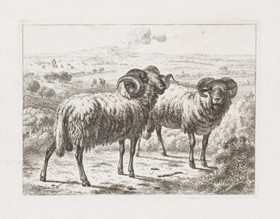 Två baggar av Abraham Hendrik Winter