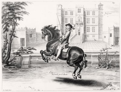 Illustration från en ridhandbok, graverad av Peeter Clouwet (1629-70), 1658 av Abraham Jansz. van after Diepenbeeck