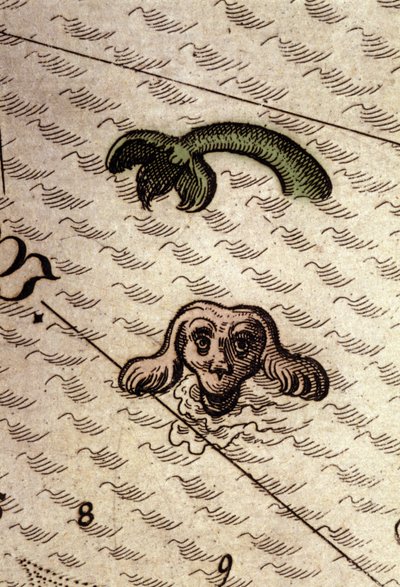 Ett marint monster har ett hundhuvud och en fiskkropp. Detalj av en karta i "Theatrum Orbis Terrarum" av Abraham Ortelius, Antwerpen 1584. av Abraham Ortelius