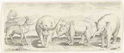 Gasell, elefant och noshörning Djur (serietitel) av Abraham de Bruyn (possibly)