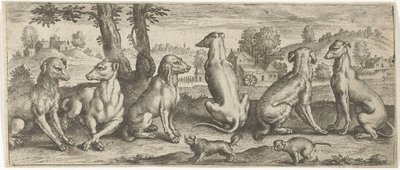 hundar Djur (serietitel) av Abraham de Bruyn (possibly)