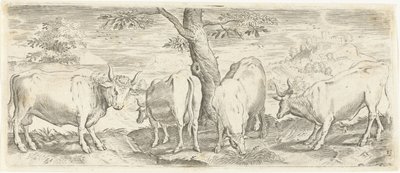Kor, en tjur och en oxe Djur (serietitel) av Abraham de Bruyn (possibly)