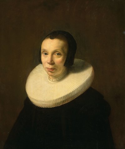 Porträtt av en kvinna av Abraham de Vries