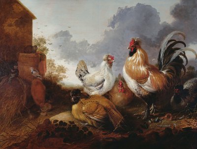 Fjäderfä på en gård av Abraham van Calraet