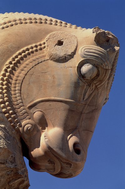 Tjurhuvud på den norra portiken i Xerxes tronsalen av Achaemenid