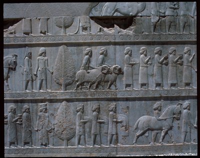 Vy över relieferna från östra trappan av Achaemenid