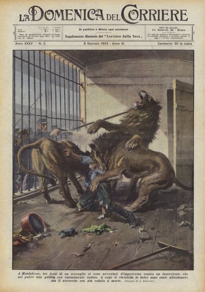 I Monfalcone rusade tre lejon i ett menageri plötsligt mot en skötare vem? av Achille Beltrame