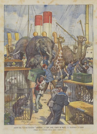 Ankomst av den tyska abessiniska ångbåten i New York laddad med bestar, transport till marken av Achille Beltrame