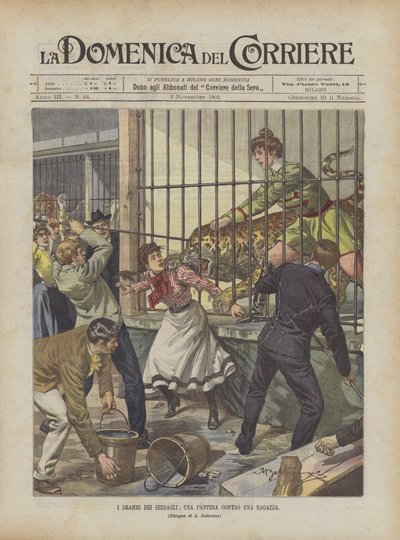 Menageriernas Dramer, En panter mot en flicka av Achille Beltrame