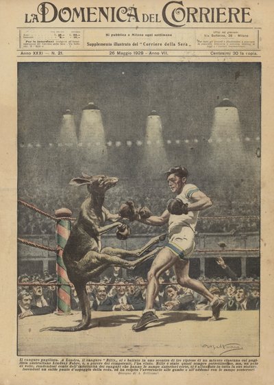 Boxningskängurun av Achille Beltrame
