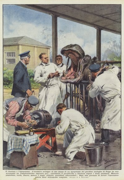 Tandläkaren och flodhästen av Achille Beltrame