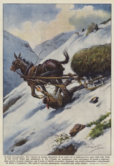 Den neurasteniska mulen av Achille Beltrame