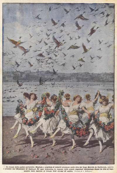 Vildändernas dans av Achille Beltrame