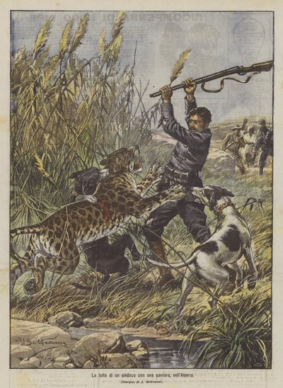 En borgmästares kamp med en panter i Algeriet av Achille Beltrame