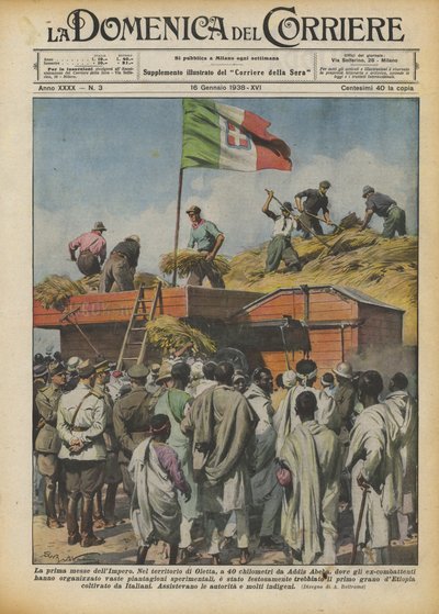 Imperiets första skörd av Achille Beltrame