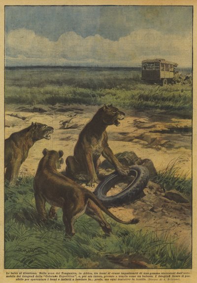 Odjuren har kul av Achille Beltrame