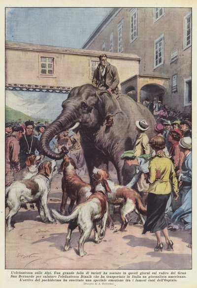 Elefanten på Alperna av Achille Beltrame