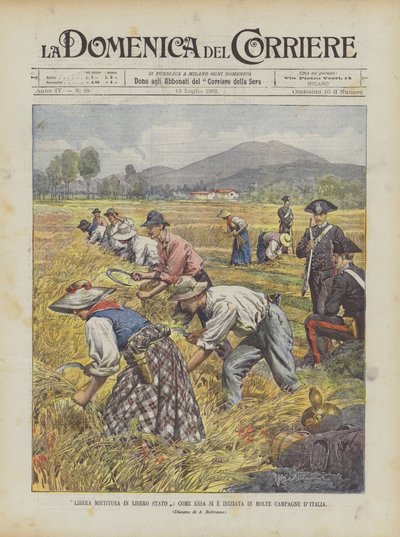 Fri skörd i Free State, hur det började i många italienska kampanjer av Achille Beltrame