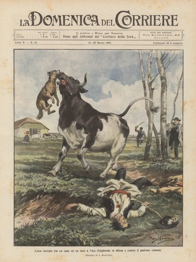 Dödlig kamp mellan en hund och en tjur i Vecs (Ungern) till försvar och mot den gemensamma ägaren av Achille Beltrame