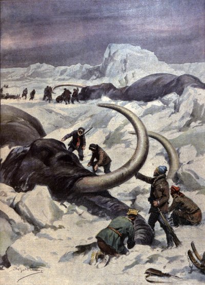 Mammutar i Nordpolen av Achille Beltrame