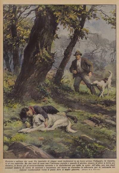 Skyddad och räddad av hundar av Achille Beltrame