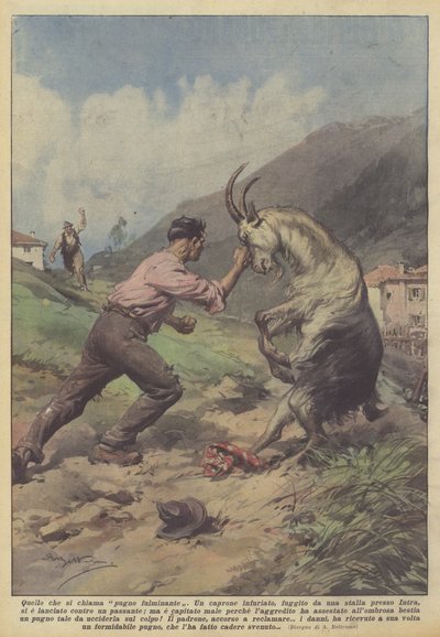 Det som kallas en blixtstöt av Achille Beltrame