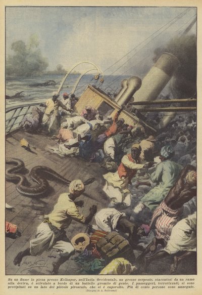 På en rasande flod nära Kolhapur, Västindien, bröt en stor orm av? av Achille Beltrame