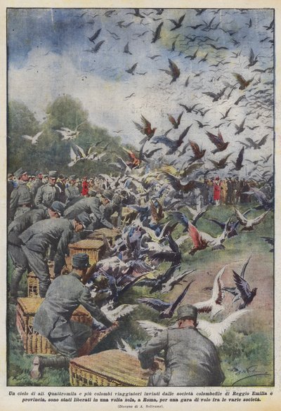 En himmel av vingar av Achille Beltrame