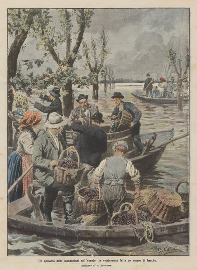 En episod av översvämningarna i Veneto, skörden gjord med båt av Achille Beltrame