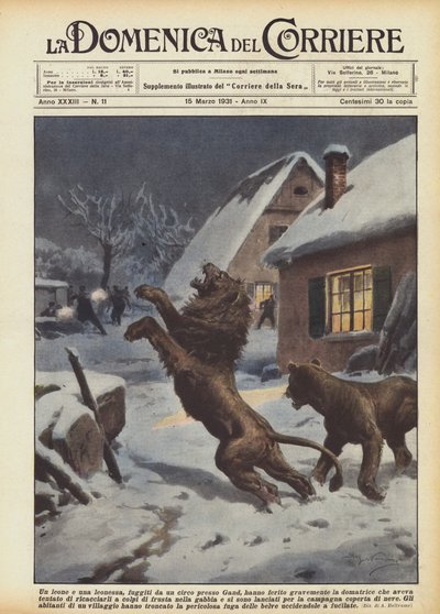 Ett lejon och en lejoninna, som rymde från en cirkus nära Gent, skadade tamaren allvarligt vem? av Achille Beltrame