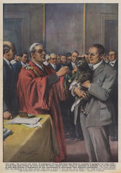 En katt? som kommer att gå till historien av Achille Beltrame