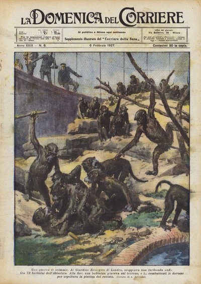 Ett krig mellan aporna av Achille Beltrame