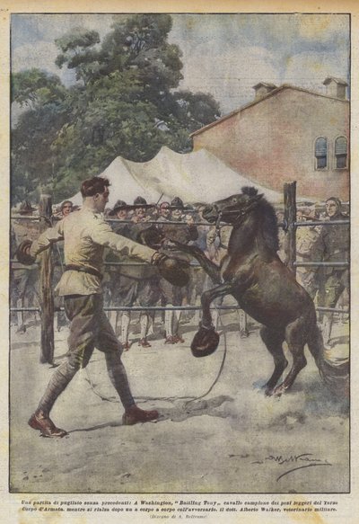 En aldrig tidigare skådad boxningsmatch, Washingtons kämpande Tony hästviktsmästare? av Achille Beltrame