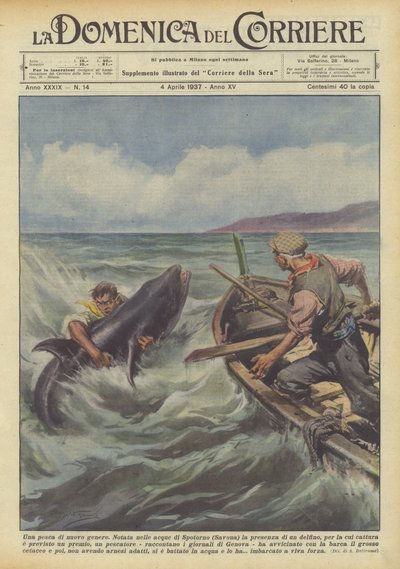 En ny sorts fiske av Achille Beltrame